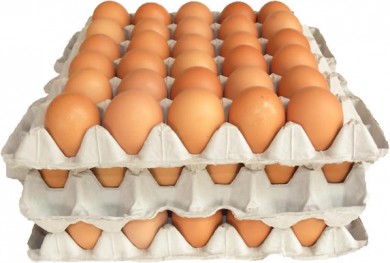 huevos-subsidio
