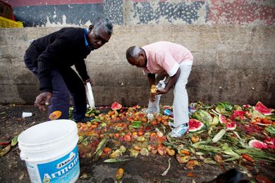 In this May 31, 2016 photo, Pedro Hernandez, left, and his friend Luis Daza, pick up tomatoes from the trash area of the Coche public market in Caracas, Venezuela. At Coche, even once middle class Venezuelans made desperate by the country's economic collapse have taken to sifting through the trash to resell or feed themselves on discarded fruits and vegetables. (AP Photo/Fernando Llano)