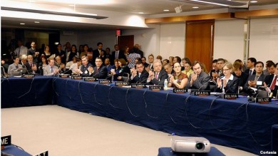 oea-desarrollo