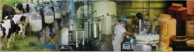 bcv.min industria-industria