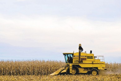 eeuu-ley-agricola-congreso