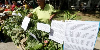 agricultura-urbana-congreso-crisis