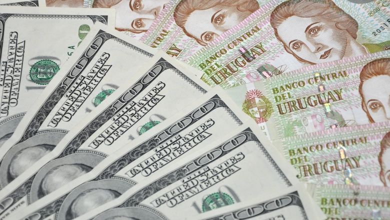 Dólar en Uruguay cae 6 % entre enero y julio